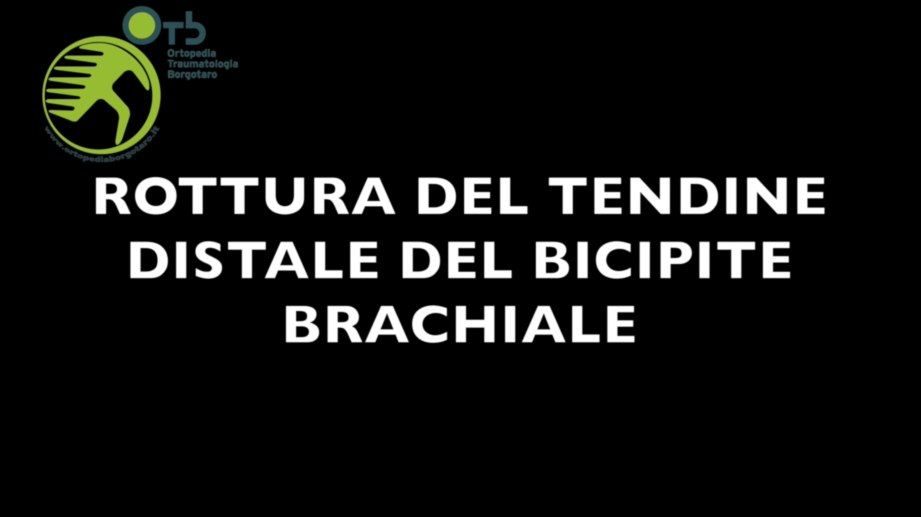 bicipite brachiale video